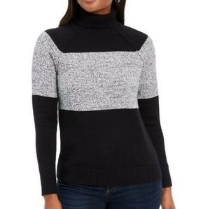 KAREN SCOTT Color Block Turtleneck Sweater